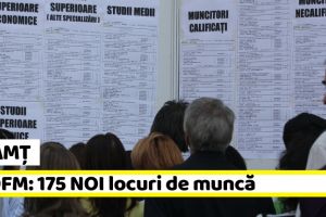 NEAMȚ: AJOFM – 175 NOI locuri de muncă, comunicate în săptămâna 21-25 ianuarie