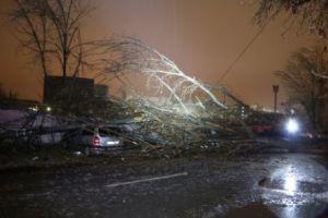 Bucureştiul şi Ilfovul acoperite de polei. Zeci de maşini avariate din cauza copacilor încărcaţi cu gheaţă care au căzut peste ele