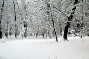Maramures: Cod Galben pana la ora 11.00