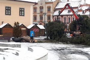 Bradul de Crăciun din Piaţa Sfatului a fost făcut bucăţi