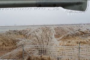POLEIUL face ravagii. ENEL Dobrogea a decretat STARE de CRIZĂ. Zeci de localităţi din sud estul României fără curent electric 