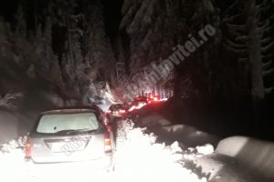 Mai mulţi arbori căzuţi, blochează DJ 714 Padina. Turiştii sunt sfătuiţi să nu folosească acest sector de drum