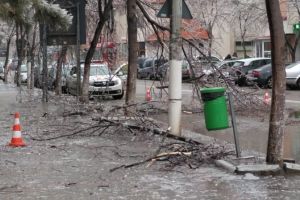 Avertizare meteo – polei şi depuneri semnificative de gheaţă