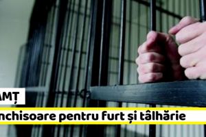 NEAMȚ: Condamnaţi la închisoare pentru furt şi tâlhărie