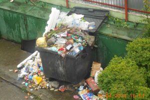 Îngropaţi în gunoi! Bixadul a rămas fără firmă de salubrizare