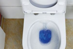 Cum o fi să stai liniştit pe vasul de toaletă si să şimţi că ceva înfiorător te MUŞCĂ? Este incredibil ce a păţit o femeie. Foto în articol