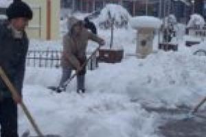 Şefa de la Pieţe îi dă replică primarului Borcean. „Nu accept să mă ia drept oaie”