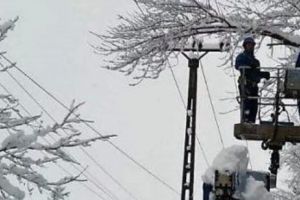 Noaptea fenomenelor extreme. PLOAIA ÎNGHEȚATĂ lasă în BEZNĂ judeţele CĂLĂRAȘI şi IALOMIȚA