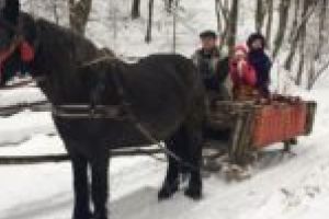 Unul din zece! Centrul de Informare Turistică Margina este singurul din estul judeţului Timiş care promovează cu adevărat turismul