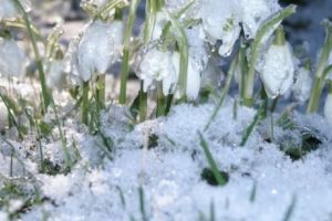 ȘOC METEOROLIGIC! Trecem la +14 grade. Temperaturi de PRIMVARĂ în următoarele zile