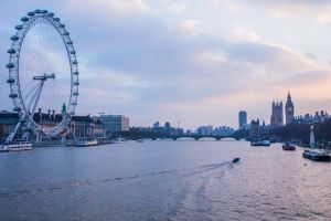 Descoperire surprinzătoare: Peşti hiperactivi din cauza cocainei, în râul londonez Tamisa