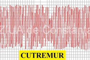 Doua cutremure in zona seismica Vrancea. Ce magnitudine au avut 