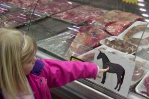 CARNE DE CAL ROMÂNESC, pe masa JUDECĂTORILOR DIN PARIS!