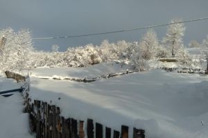 FOTO, VIDEO. Oamenii din Apuseni trăiesc o iarnă cum nu au mai văzut de zeci de ani. Zăpada depăşeşte un metru şi jumătate