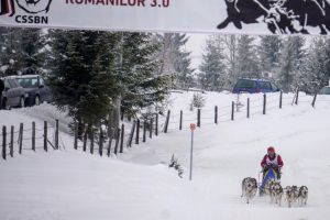 Drumul Romanilor 3.0, spectacolul câinilor zăpezii în Pasul Tihuţa (FOTO)