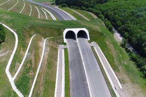 „Tunelurile pentru urşi” costă cât 40 de kilometri de autostradă