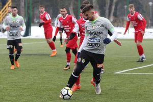 Pîrvulescu  a debutat la Cluj