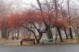 Mai vin si veşti bune de la meteorologi