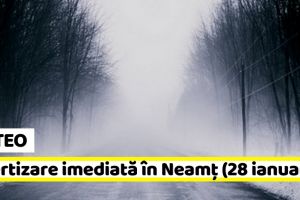 METEO: Avertizare imediată în judeţul Neamţ (28 ianuarie). Ceaţă, chiciură