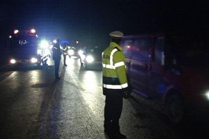 Căprior lovit mortal de un autoturism de teren, pe DN 1