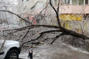 
Nu se pot despăgubi proprietarii maşinilor avariate de ploaia îngheţată
