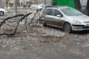 Vremea a făcut RAVAGII în România - Sute de maşini au fost distruse de copacii căzuţi/ Intervenţie în PREMIERĂ în cazul unui copil