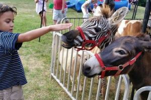La ZOO Sibiu se amenajează Ferma Animalelor, locul în care copiii pot atinge animalele