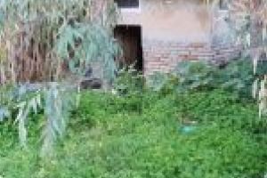 Trupul unui roman de 58 ani gasit fara viata in apropierea ruinelor unei fabrici in Sudul Italiei