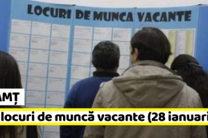 NEAMȚ: AJOFM: 675 locuri de muncă vacante la data de 28 ianuarie