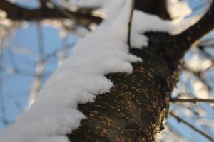 Vremea se încălzeşte în următoarele zile. Temperaturi şi de 12 grade la Satu Mare