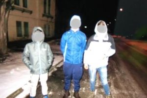 Jardinierele de pe Podul Michelangelo, cea mai mare provocare a Poliţiei Locale Timişoara