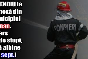 Incendiu la o anexă din municipiul Roman. Au ars 20 de stupi, fără albine (20 septembrie)