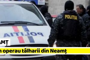 NEAMȚ: Cum operau tâlharii din Neamţ. Îi legau pe bătrâni, îi ameninţau…