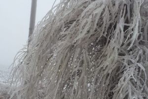 Efectele ploii inghetate. Situatia actualizata a avariilor E-Distributie Dobrogea. Ce localitati sunt nealimentate cu energie (galerie foto) 