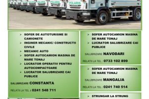 Polaris M. Holding recruteaza personal