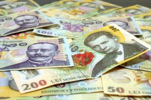 Șapte indemnizaţii de acomodare, plătite în Gorj