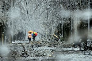 Vremea se încălzeşte brusc. Temperaturile vor ajunge chiar şi la 14 grade