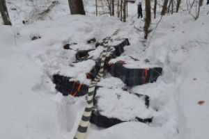 Un foc de arma s-a auzit aseara in apropiere de Bistra. Cei vizati au reusit sa se faca nevazuti