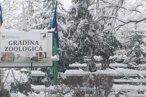 Bilete mai scumpe la Zoo Piteşti