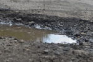 Robu anunţă că de joi se asfaltează gropile din Timişoara: „Temperaturile anunţate sunt potrivite pentru astfel de lucrări”