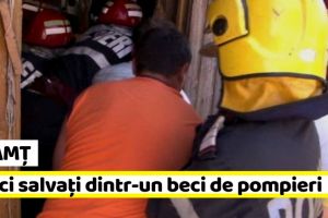 NEAMȚ: Porci salvaţi dintr-un beci de pompieri