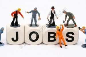 338 de locuri de muncă, vacante, în evidenţele AJOFM Dâmboviţa