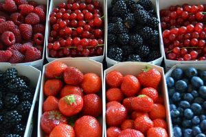 Producătorii de fructe de pădure din Cluj s-au asociat în cooperativa Arome Transilvane