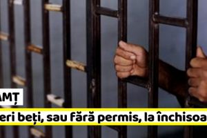 NEAMȚ: A condus beat, 1 an de închisoare. A condus fără permis, 1 an şi 6 luni