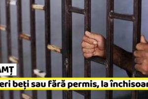 NEAMȚ: A condus beat, 1 an de închisoare. A condus fără permis, 1 an şi 6 luni
