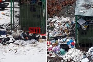 Primăria propune amenzi de până la 50.000 de lei pentru Florisal