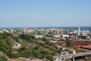 Trei societati vor furniza Companiei Nationale Administratia Porturilor Maritime Constanta echipament individual de protectie si de lucru  