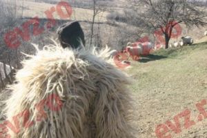 Costică „Ben Laden”, ciobanul care ameninţa în limba engleză că pune bombe