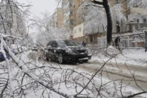 „Evenimentul zilei” le răspunde bucureştenilor ale căror maşini au fost avariate de copacii căzuţi: Aveţi dreptul la despăgubiri chiar dacă primăriile refuză!