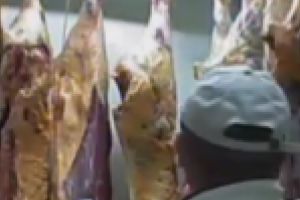 “Nu stii niciodata ce mananci” In Romania a ajuns carne de vita de la animale grav bolnave